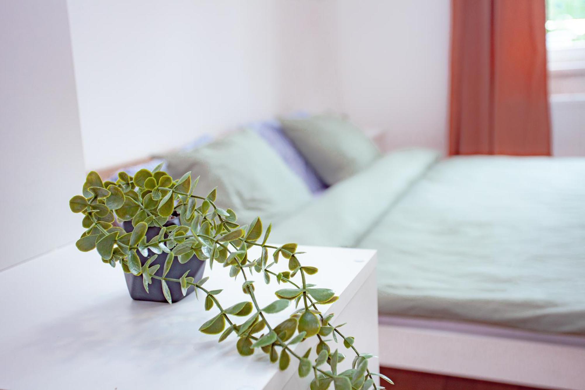 Elegance Apartments Prag Dış mekan fotoğraf